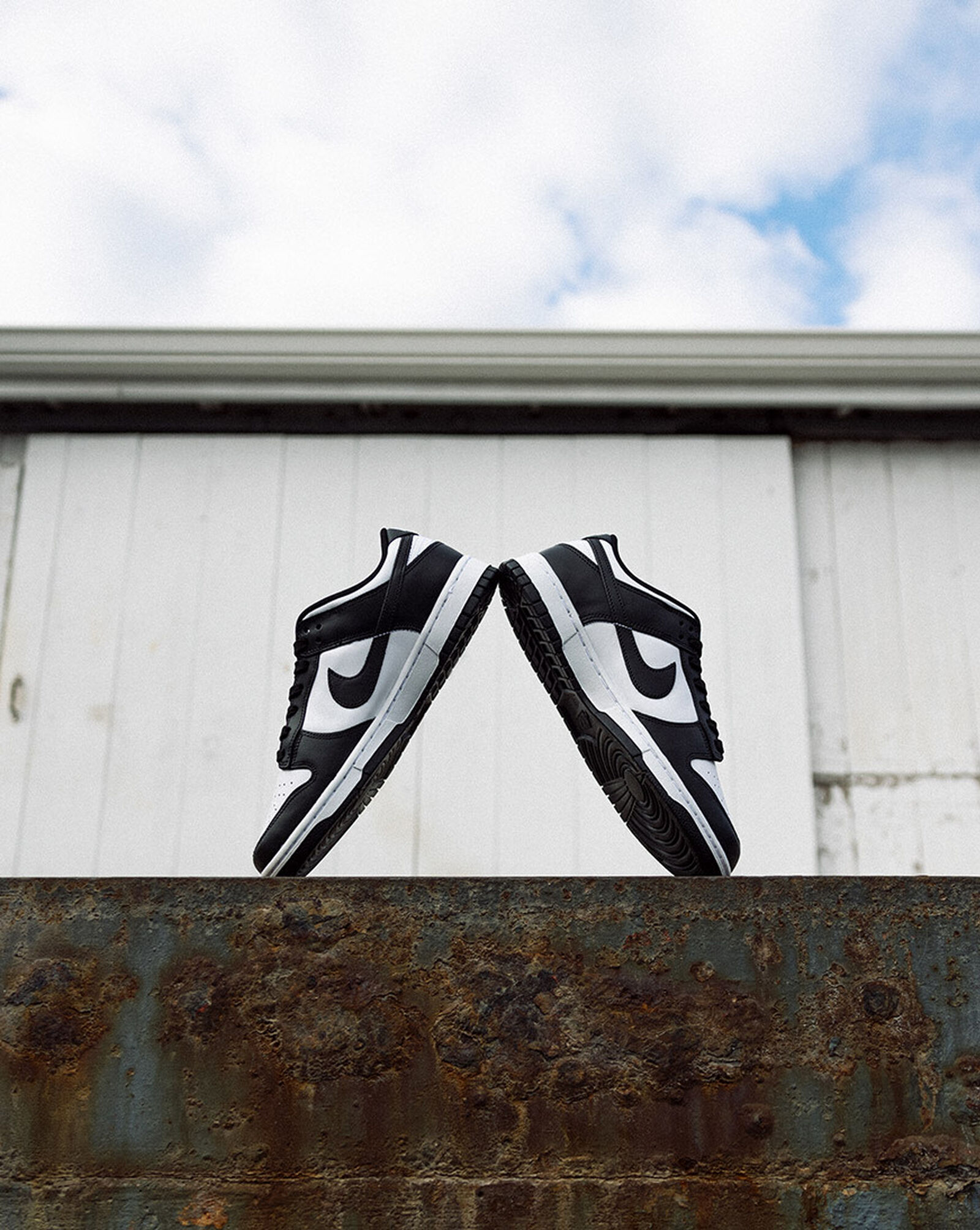 Dunk Low Black | White