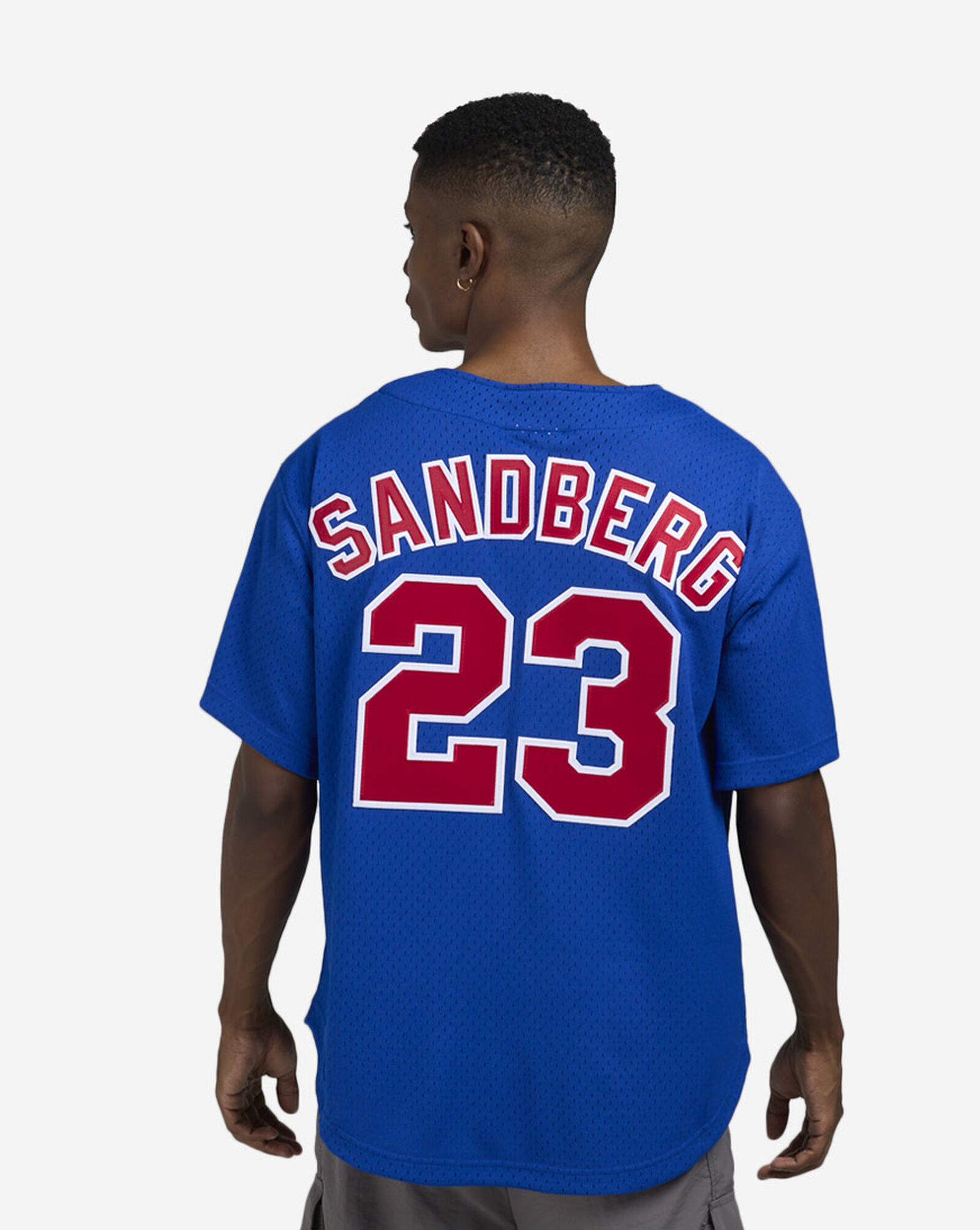 Ryne Sandberg Chicago Cubs Authentic Bating Practice Jersey Royal