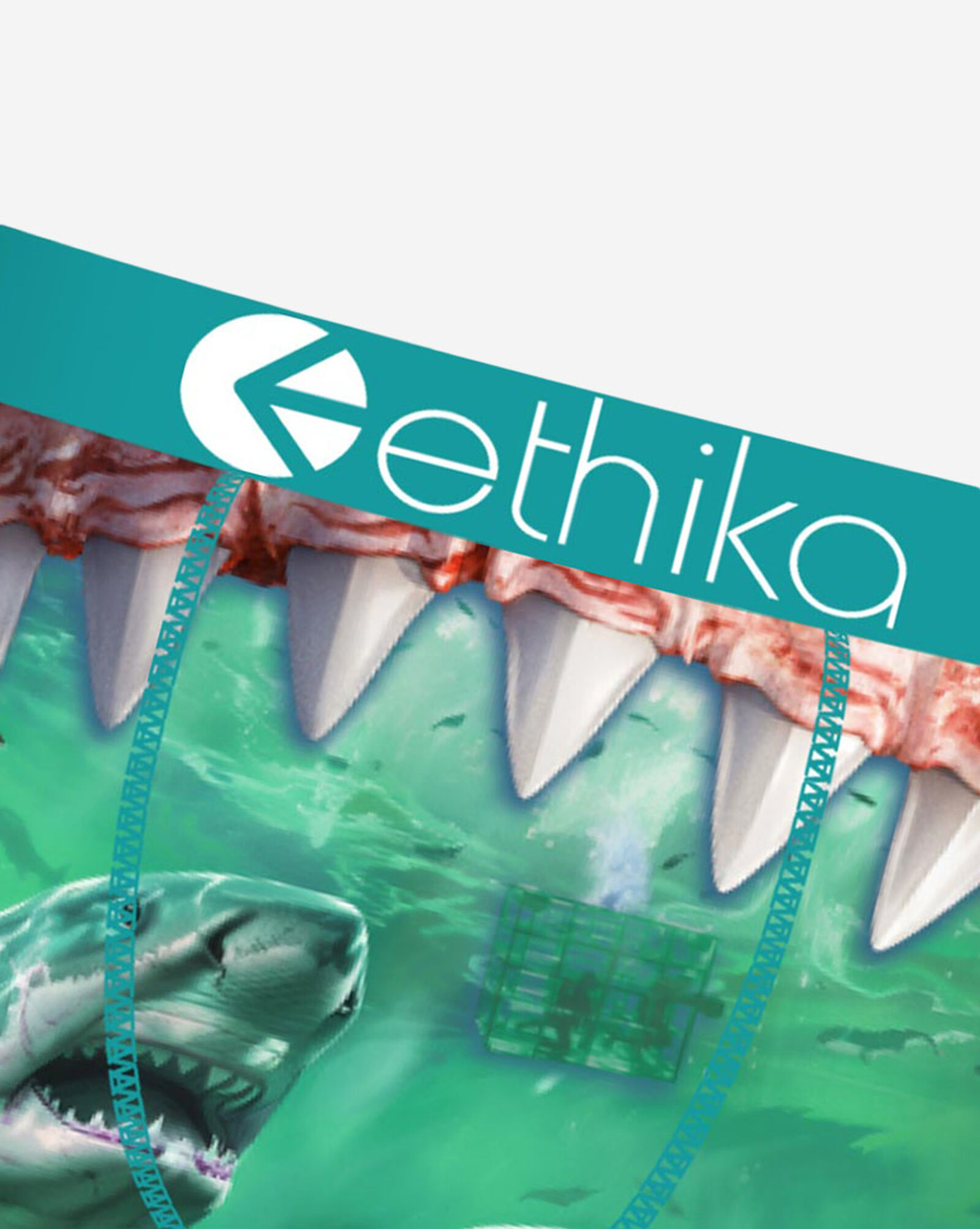 Food Chain Briefs Multi