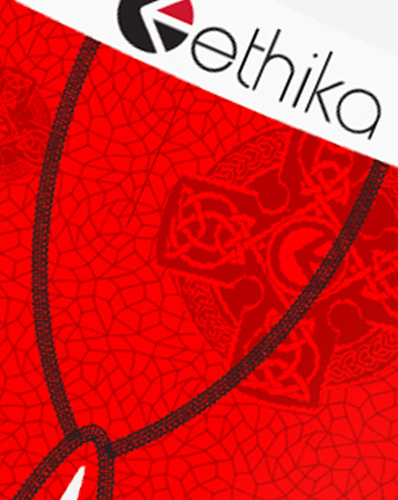 Prophesy Briefs Multi