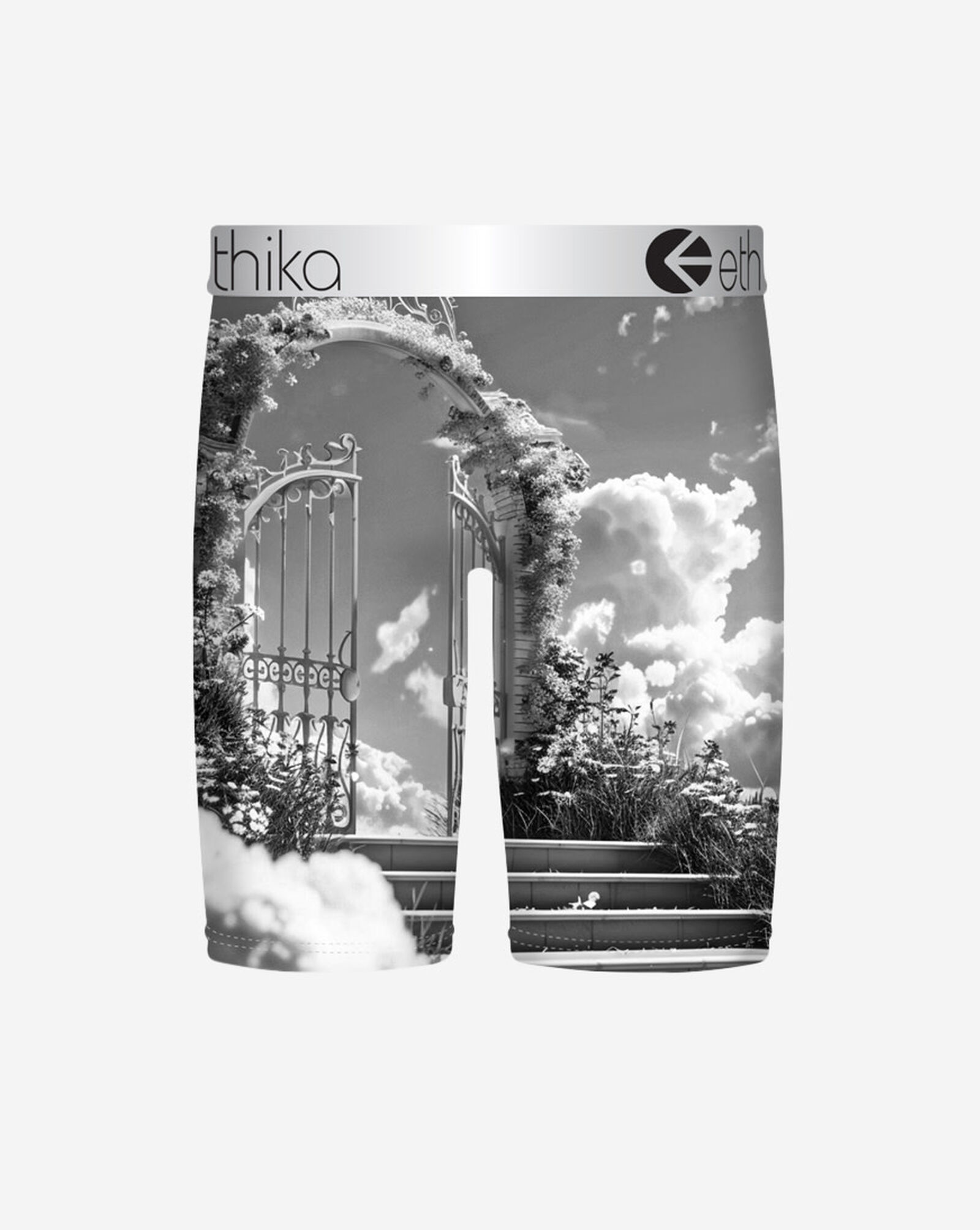 Free Ya Mind Briefs Multi