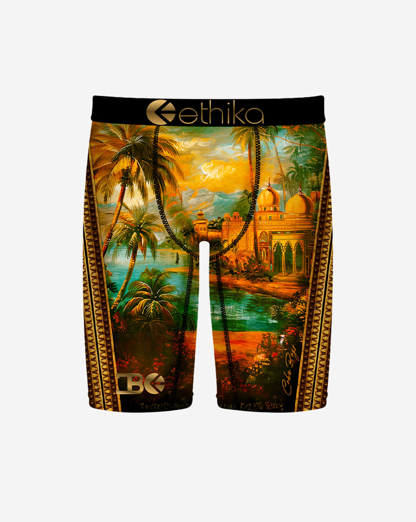 Where We Came From Briefs Multi