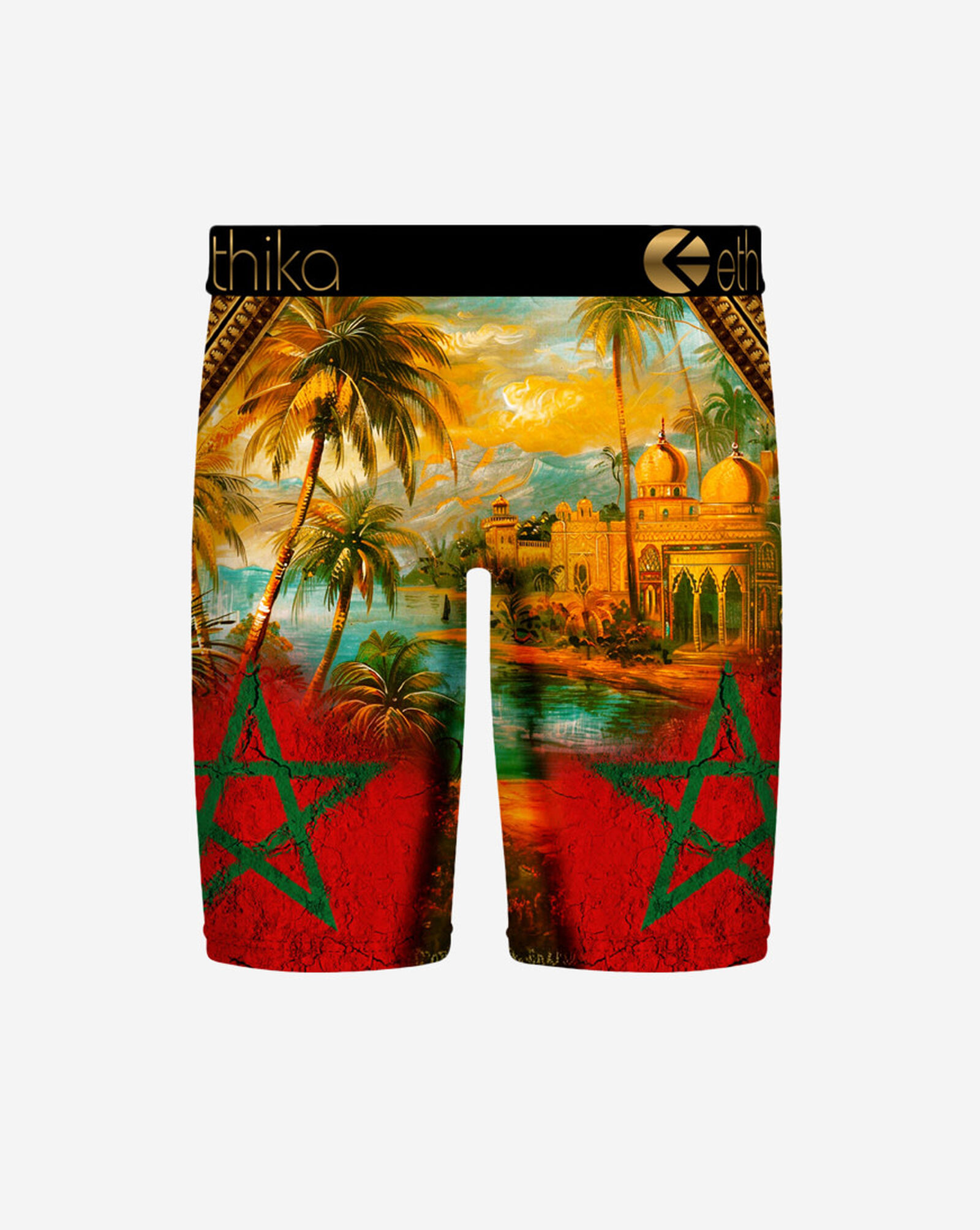 Where We Came From Briefs Multi