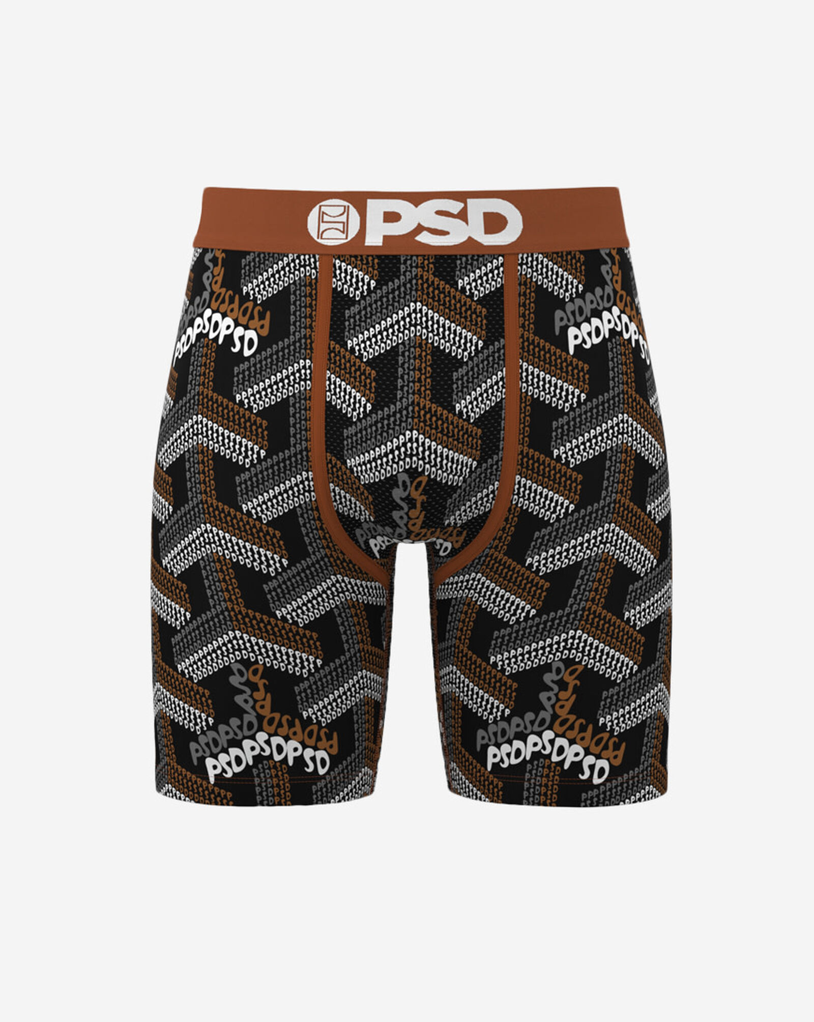 Labyrinth Boxer Briefs Multi
