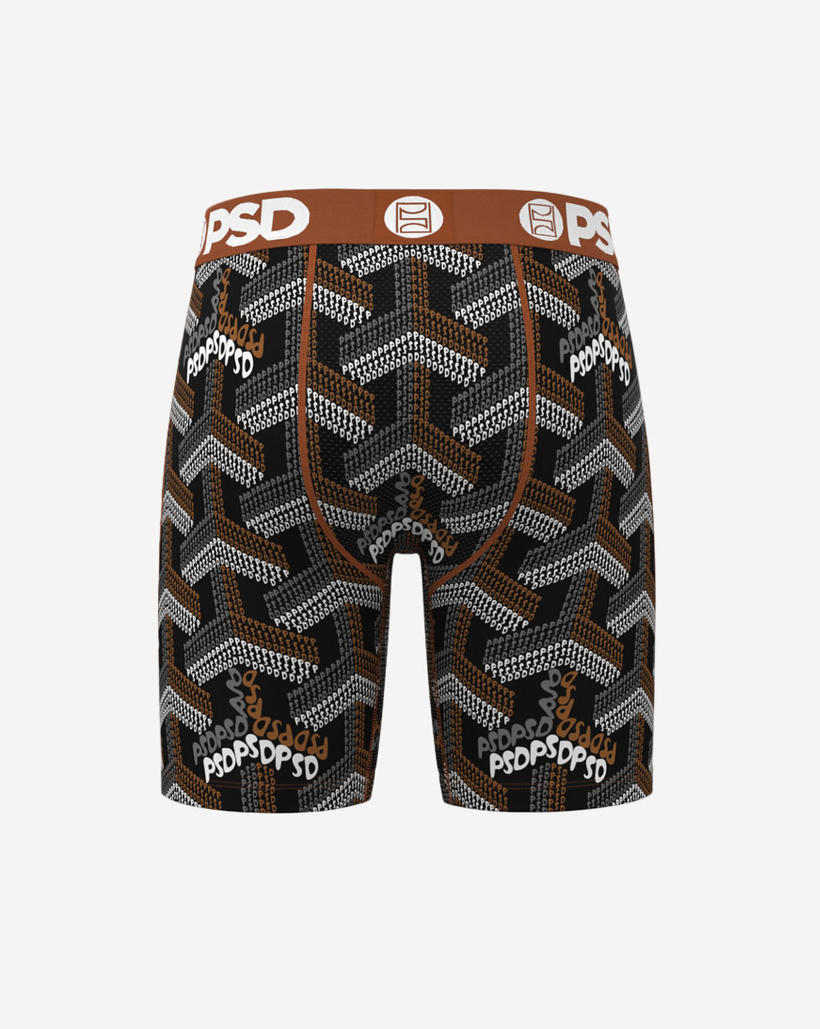 Labyrinth Boxer Briefs Multi