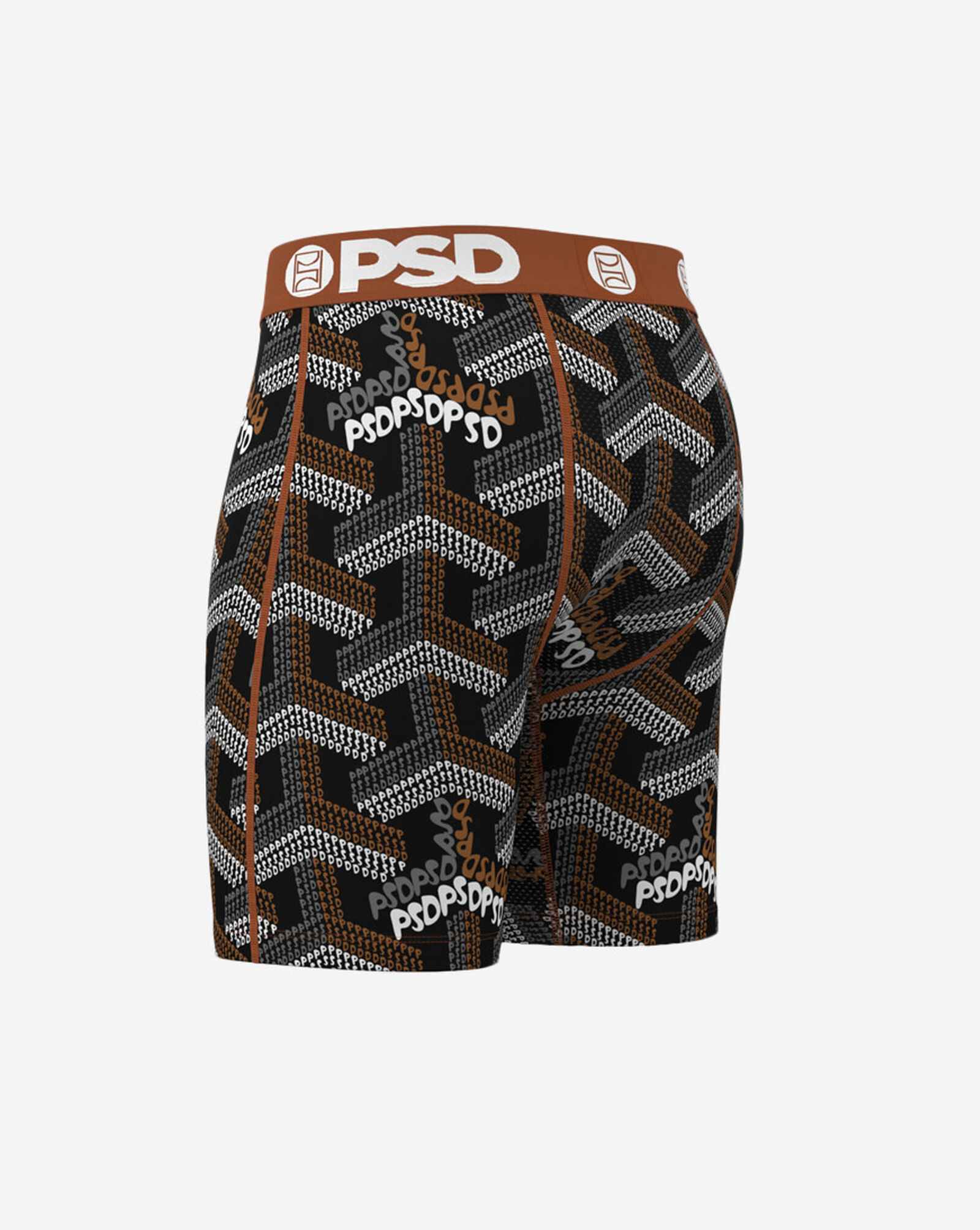 Labyrinth Boxer Briefs Multi