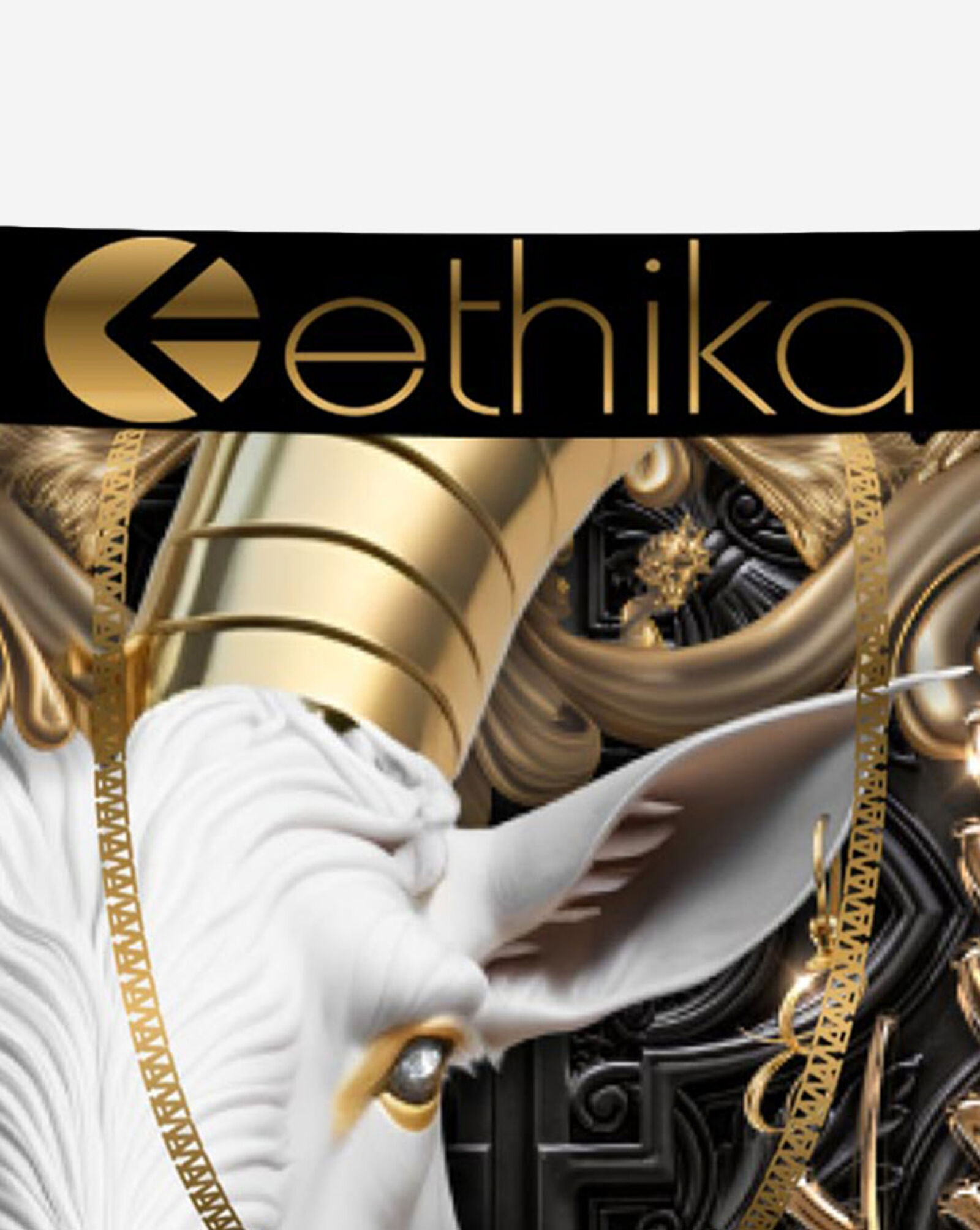 Grade School Goatness Briefs Multi